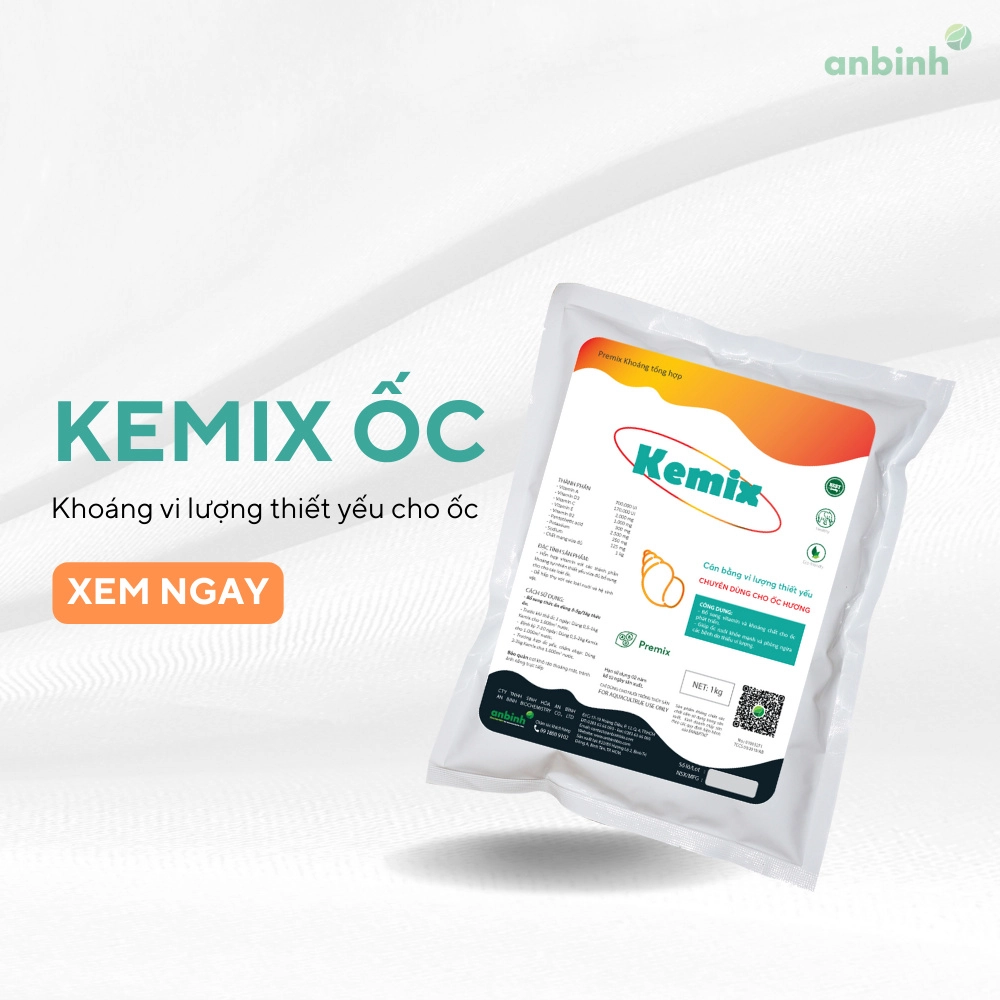 Kemix Ốc - Ảnh 3