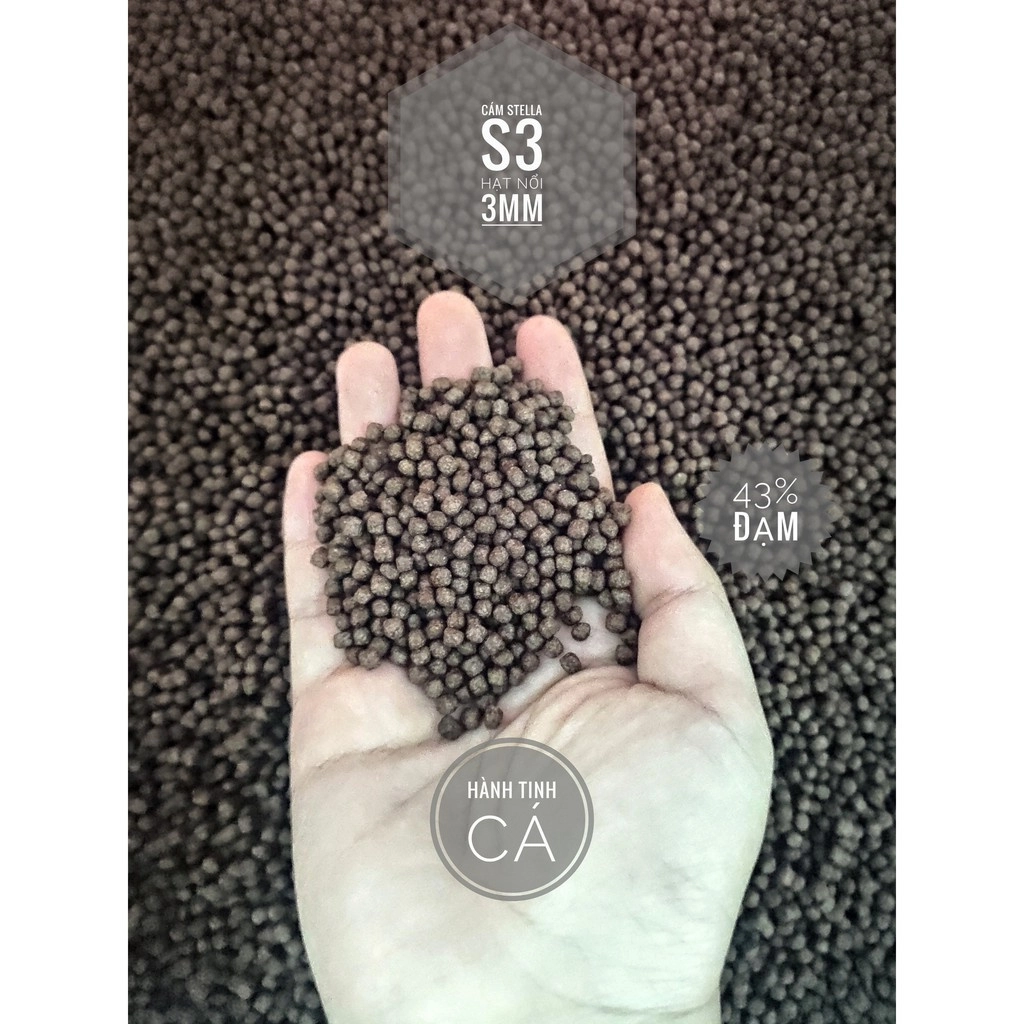 Cám Stella - Ảnh 2