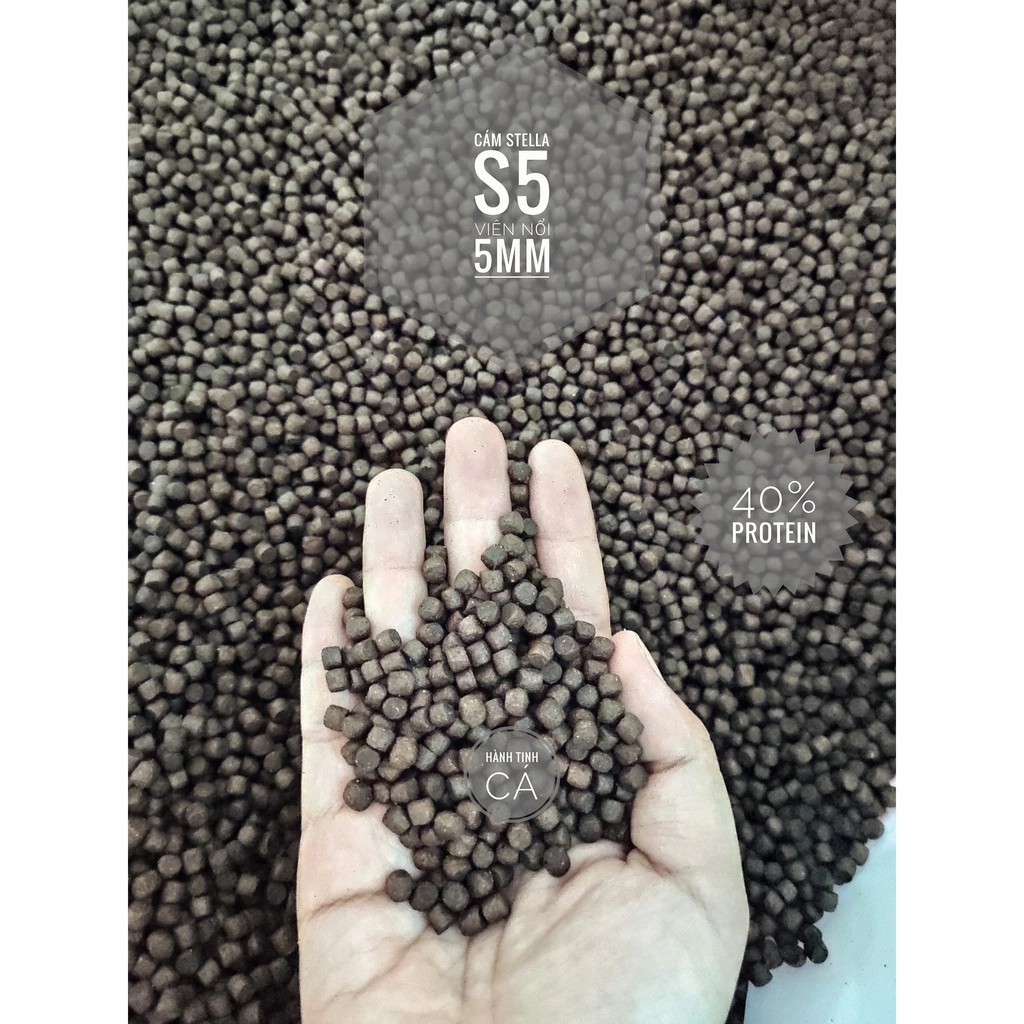 Cám Stella S - Ảnh 2