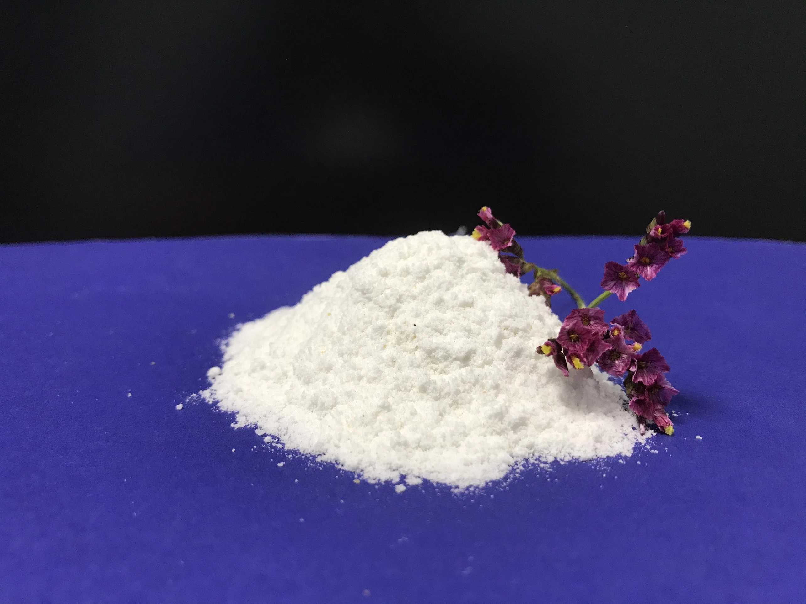 ACCELOBAC AG - Ảnh 2