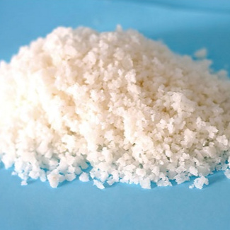 Hành Tinh Cá - Ảnh 4