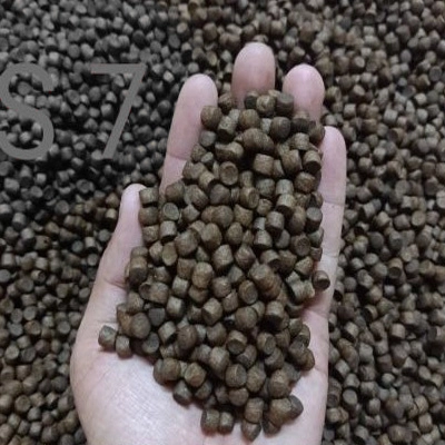 Cám Stella S - Ảnh 5