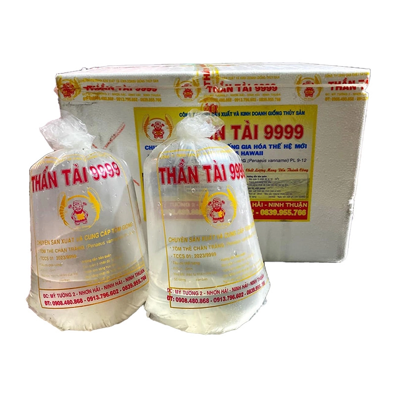 Tôm thẻ Supper - Ảnh 3