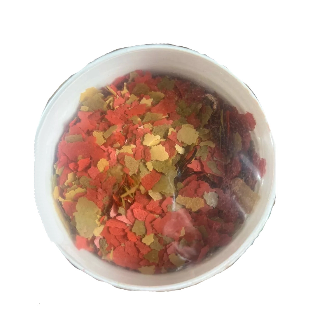 Prodac - Color - Ảnh 2