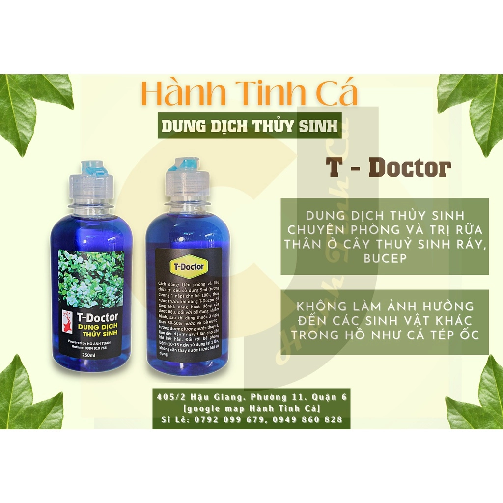 Cây thủy sinh - Ảnh 10