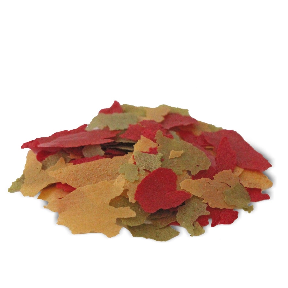 Prodac - Color - Ảnh 5