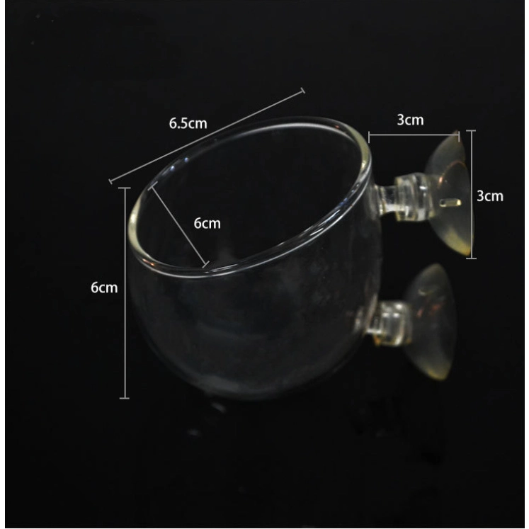 Cốc trồng cây thủy sinh - Ảnh 5