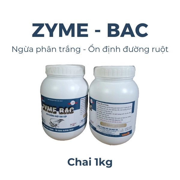 Zyme Bac - Ảnh 2