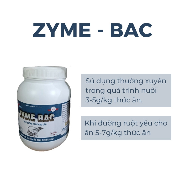 Zyme Bac - Ảnh 3
