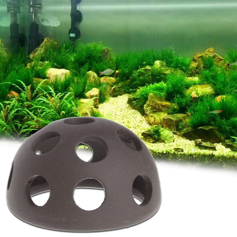 Phụ kiện hang gốm trú ẩn cho CÁ TÔM TÉP PLECO - Ảnh 4