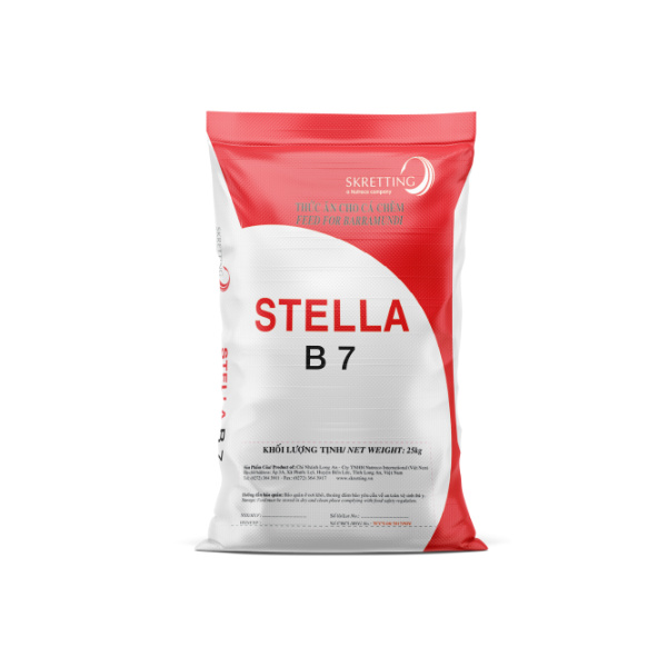 Stella B Cám cá