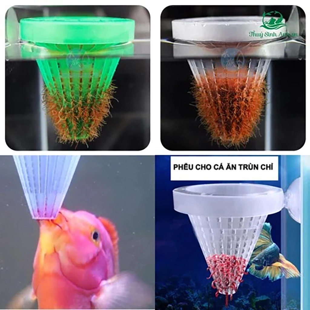 Rổ đựng trùn chỉ cho cá dĩa - Ảnh 2