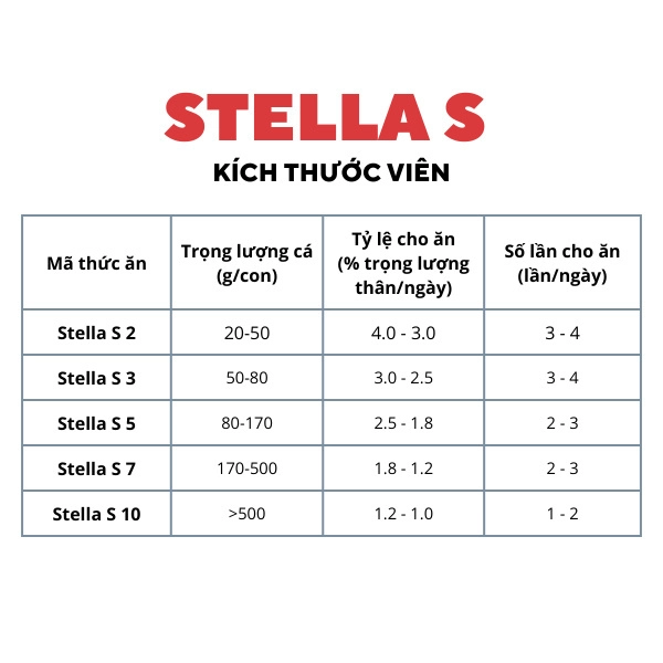 Stella S Cám cá Koi - Ảnh 2