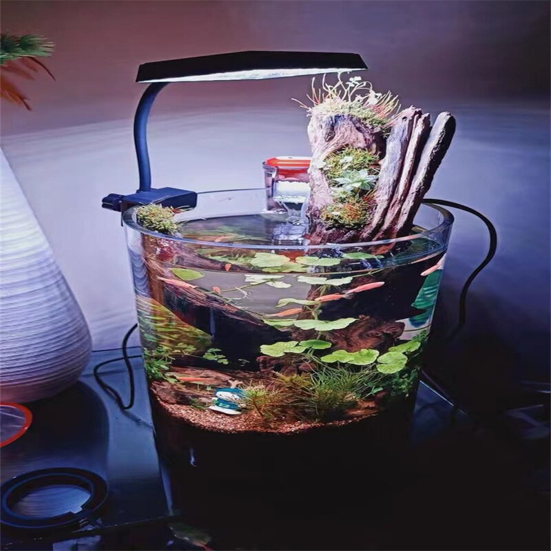 Neo-Helios FLAT S3 PLUS NANO - Ảnh 8