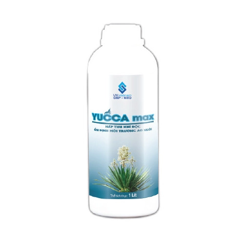 Yucca Max UV