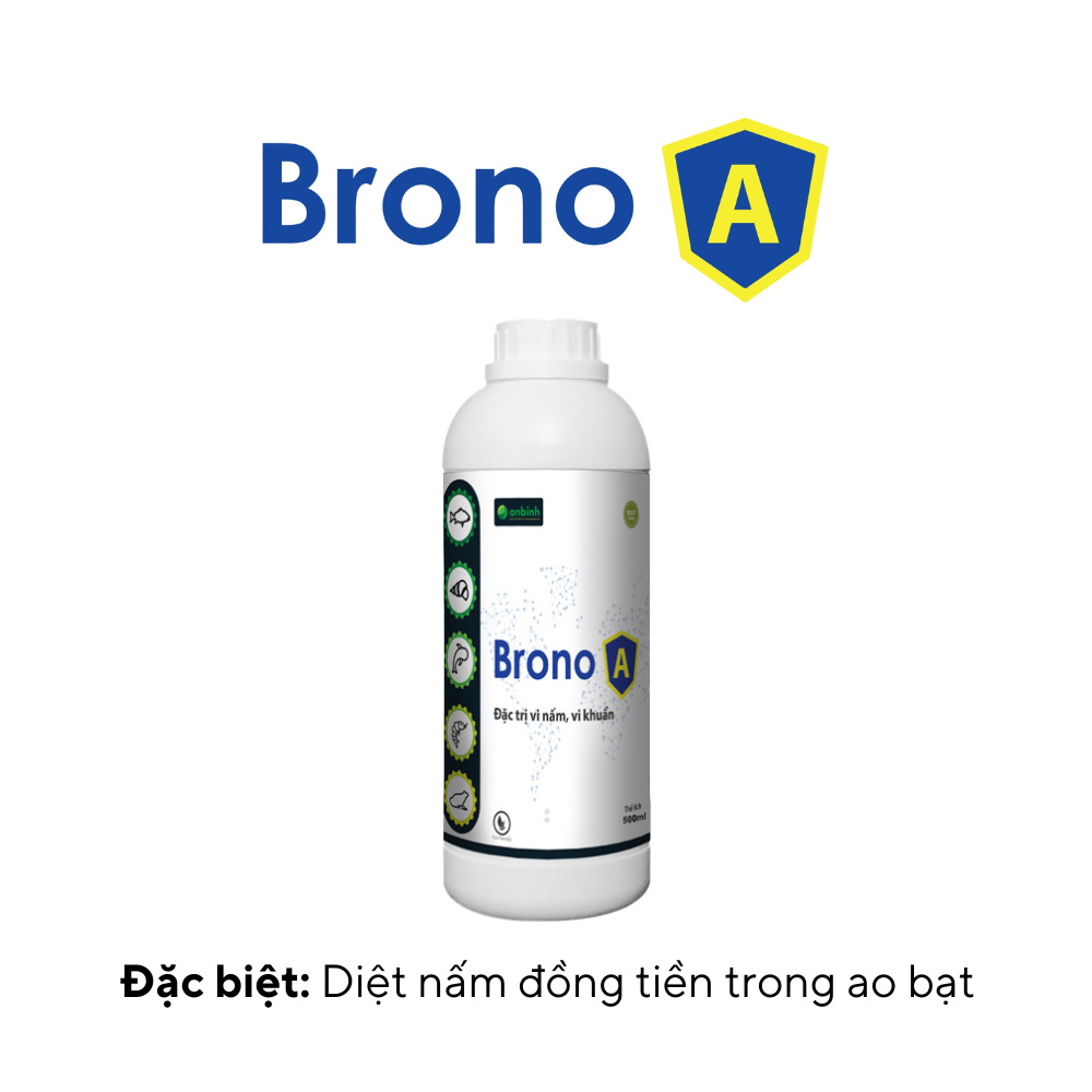 Brono A - Ảnh 3