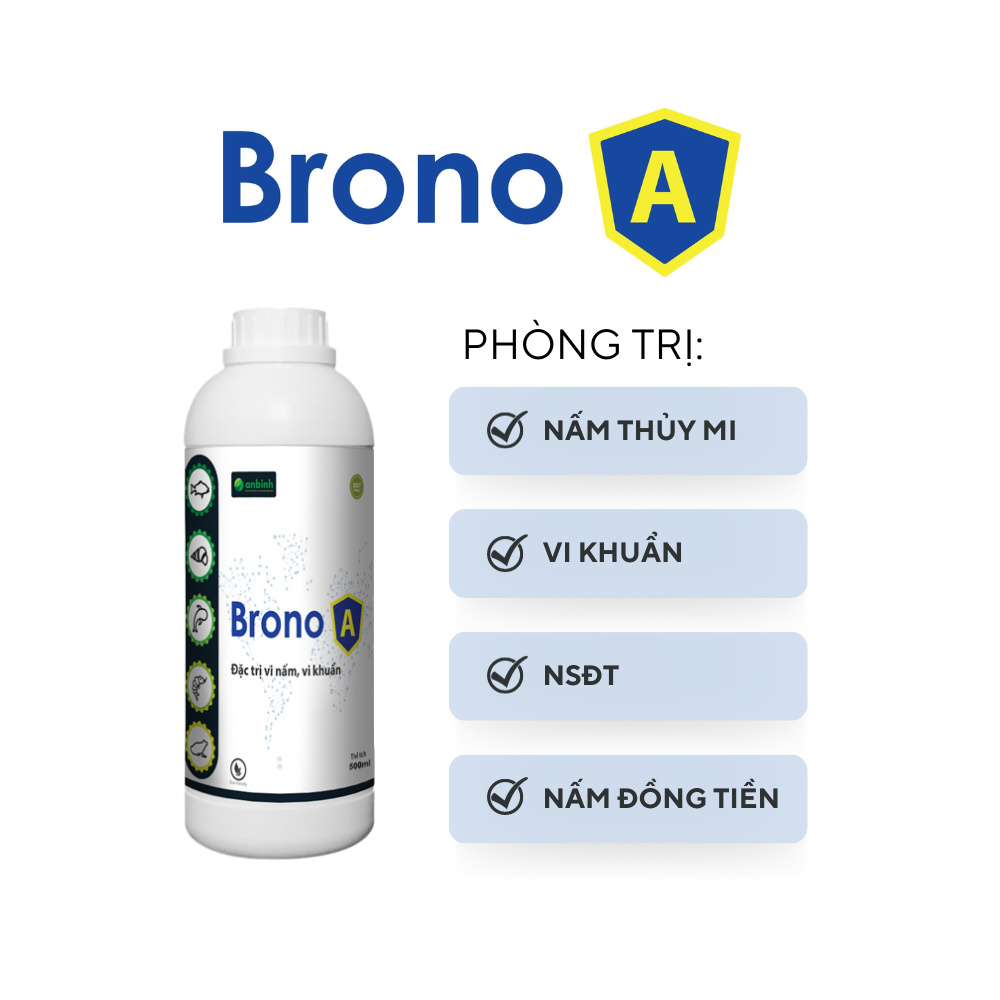 Brono A - Ảnh 4