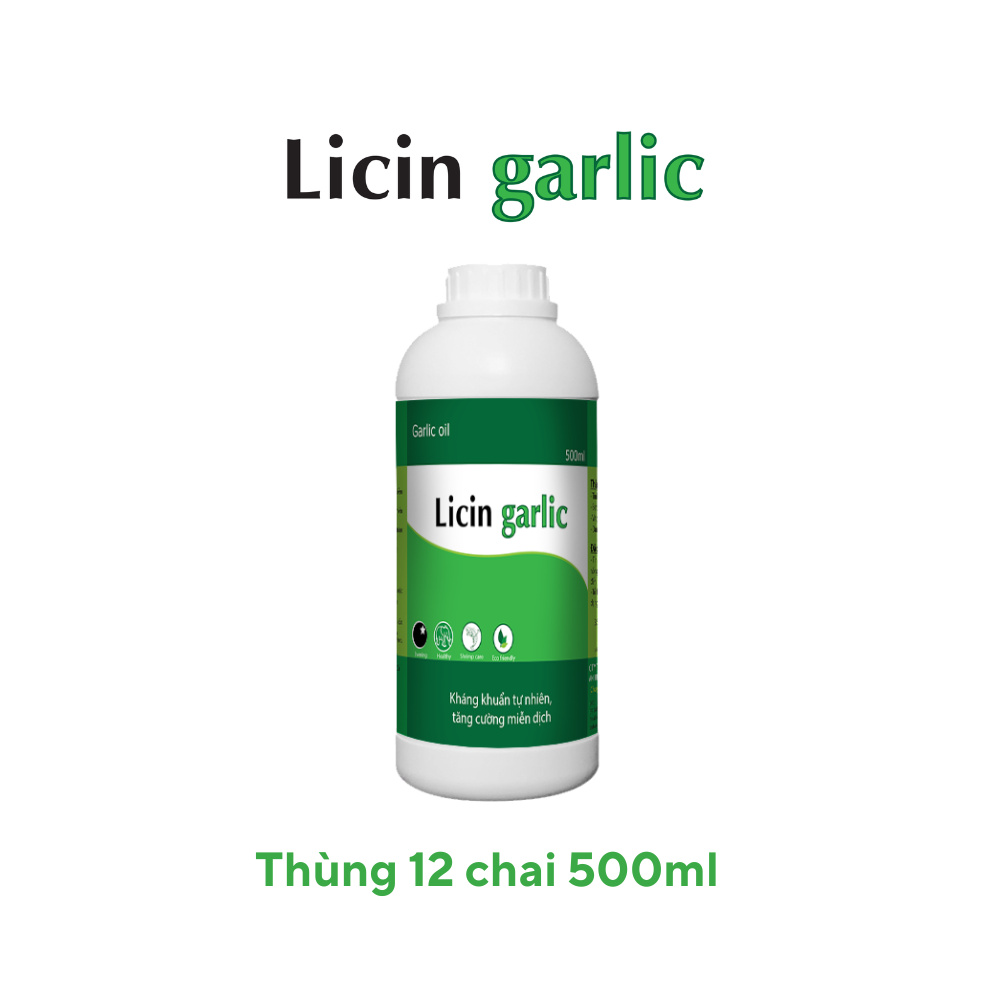 Tinh dầu tỏi Licin garlic - Ảnh 3