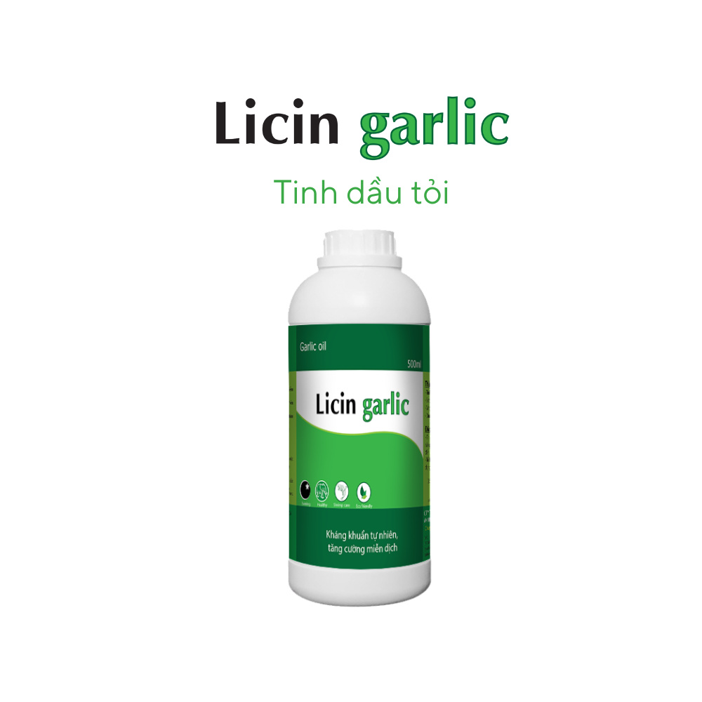 Tinh dầu tỏi Licin garlic - Ảnh 5