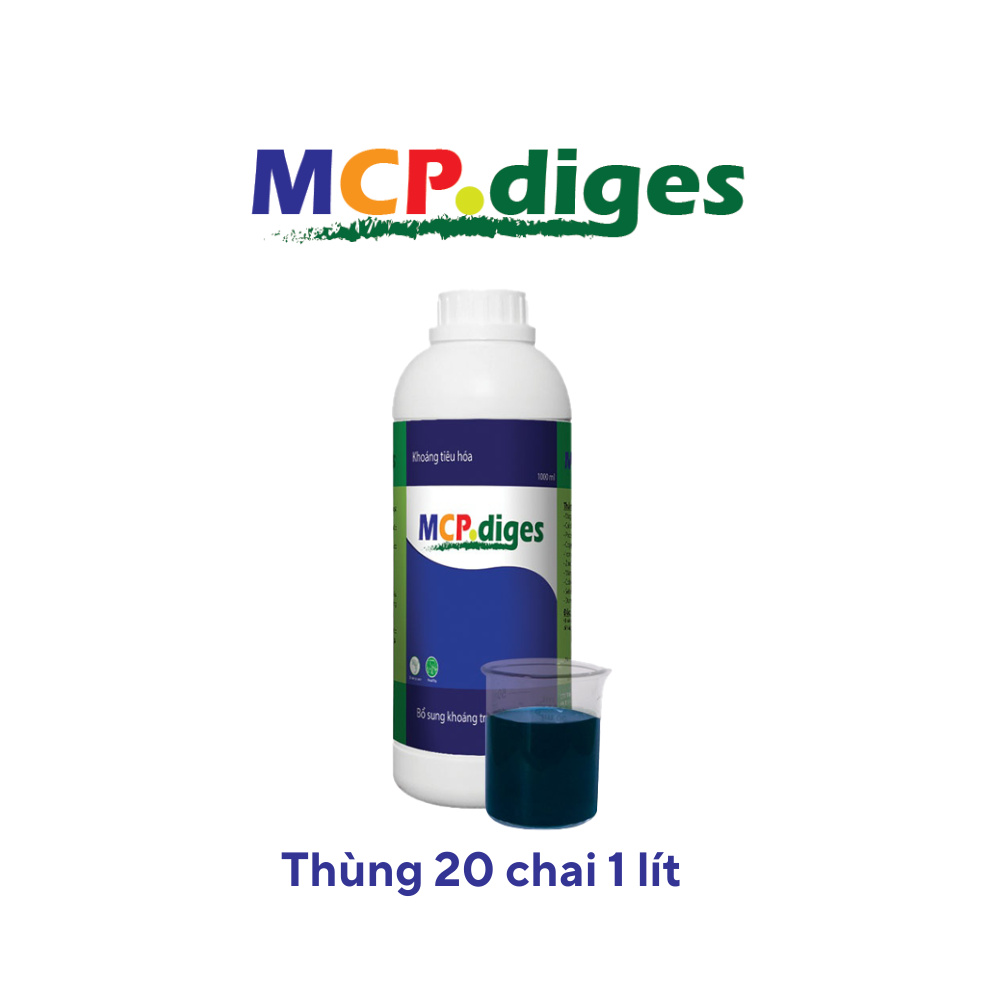 MCP diges - Ảnh 3