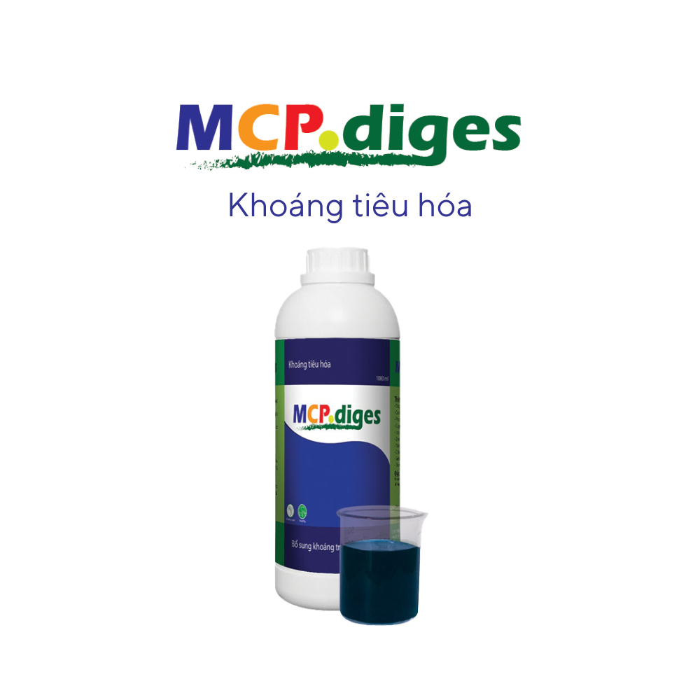 MCP diges - Ảnh 4