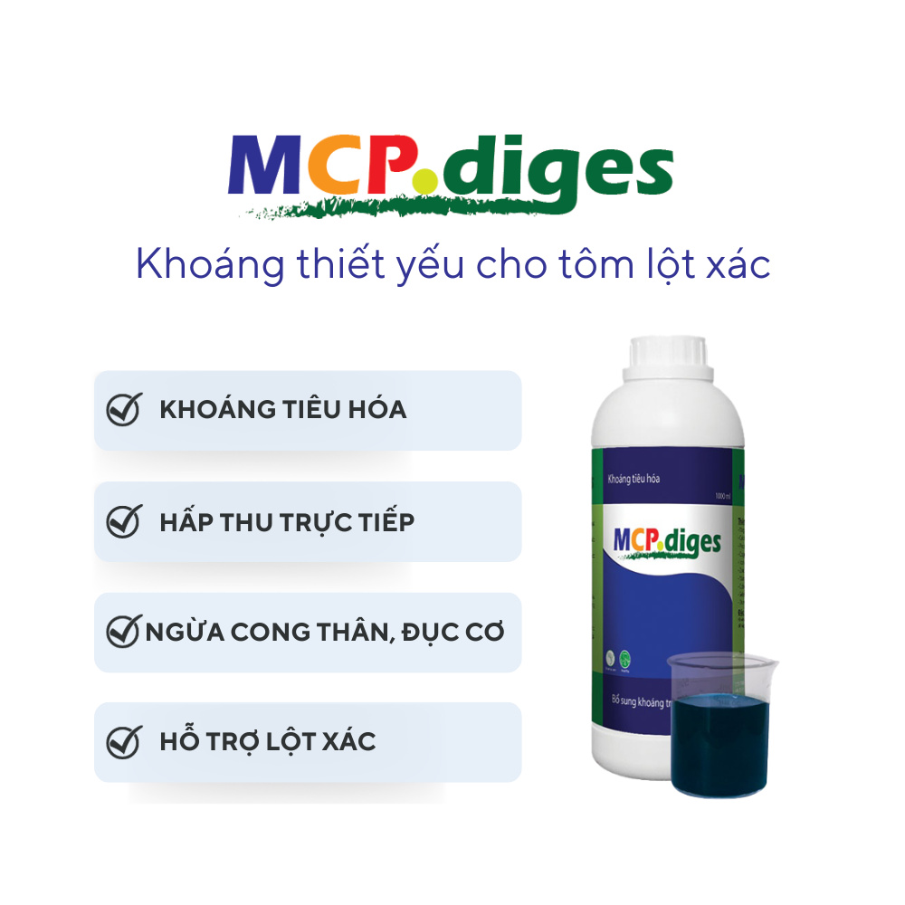 MCP diges - Ảnh 5