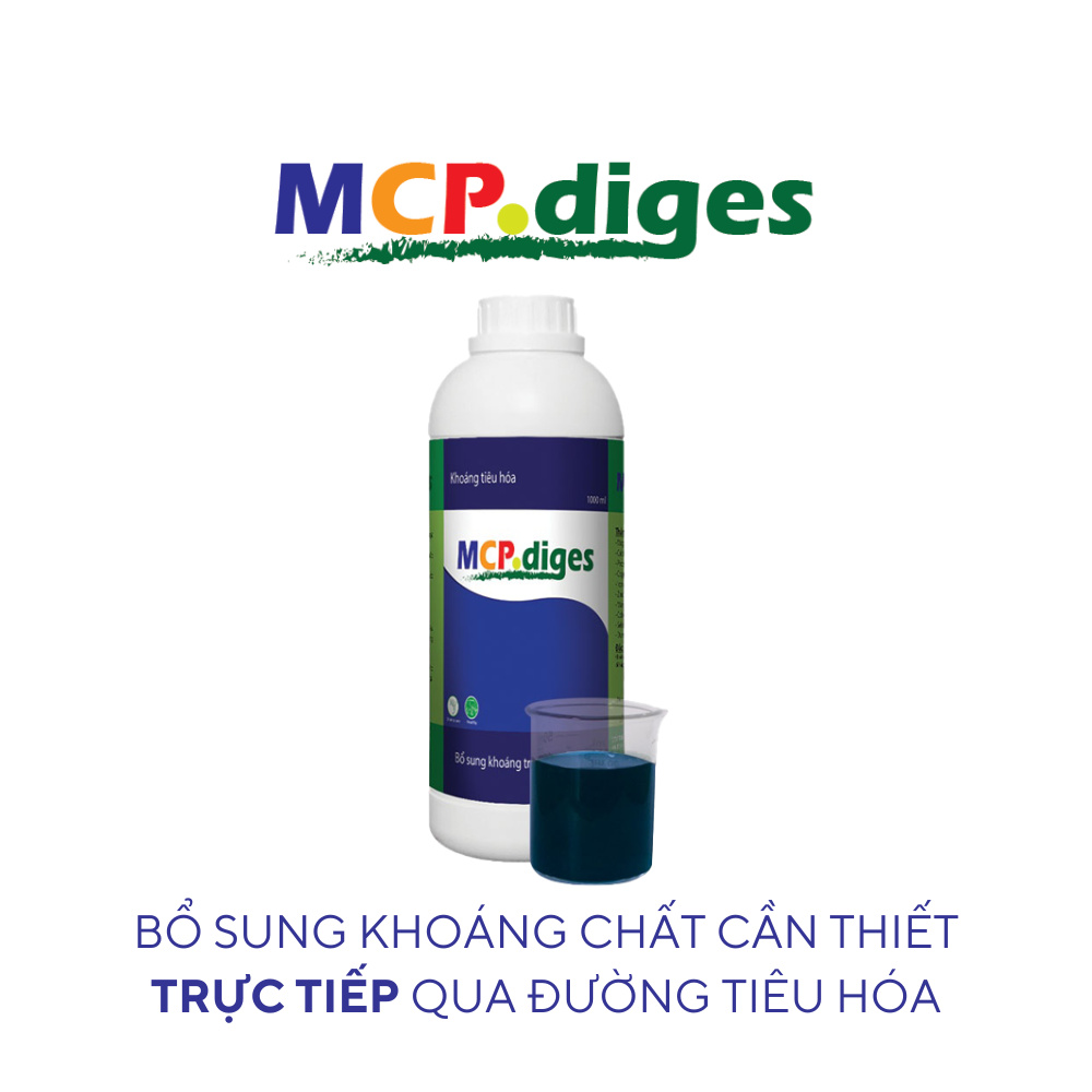 MCP diges - Ảnh 6