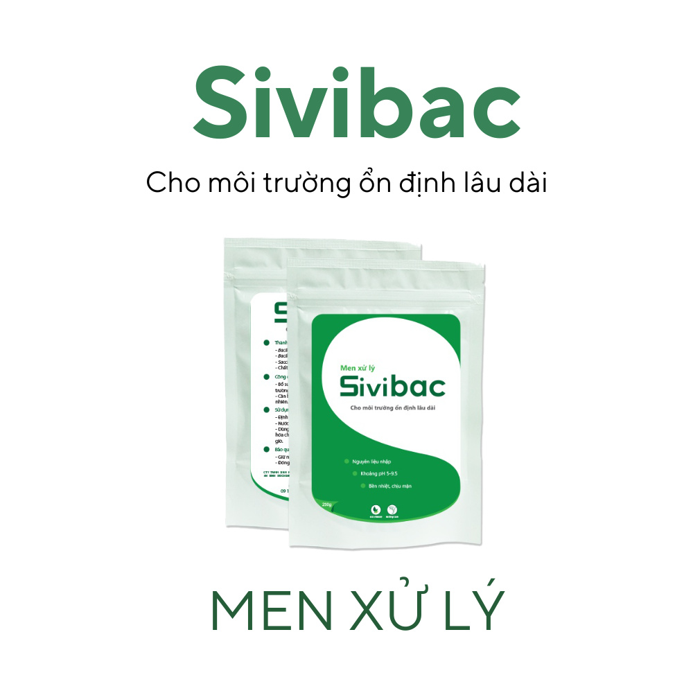 Sivibac - Ảnh 4
