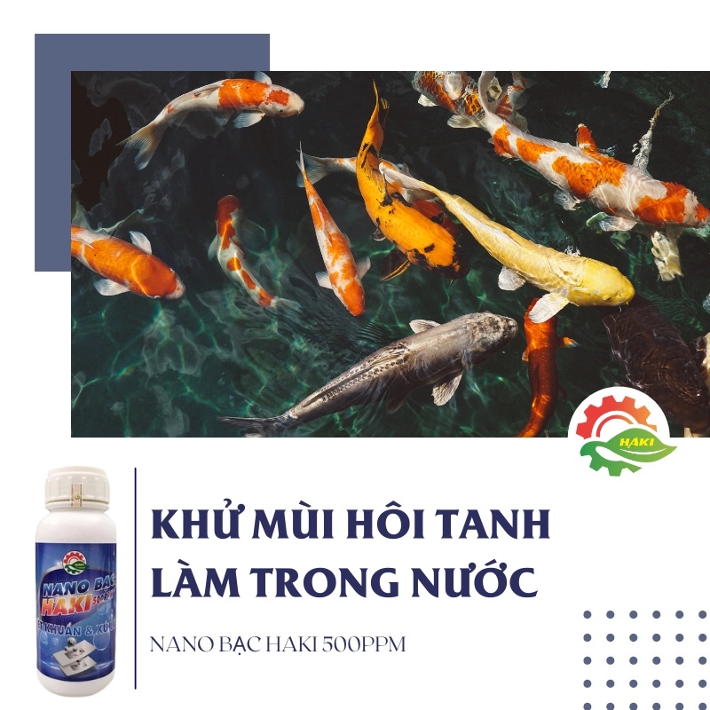 Nano bạc Haki cho cá cảnh 500ml - Ảnh 3