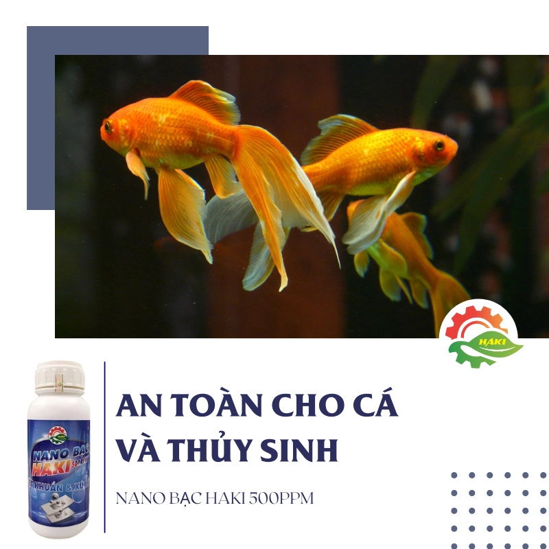 Nano bạc Haki cho cá cảnh 500ml - Ảnh 6