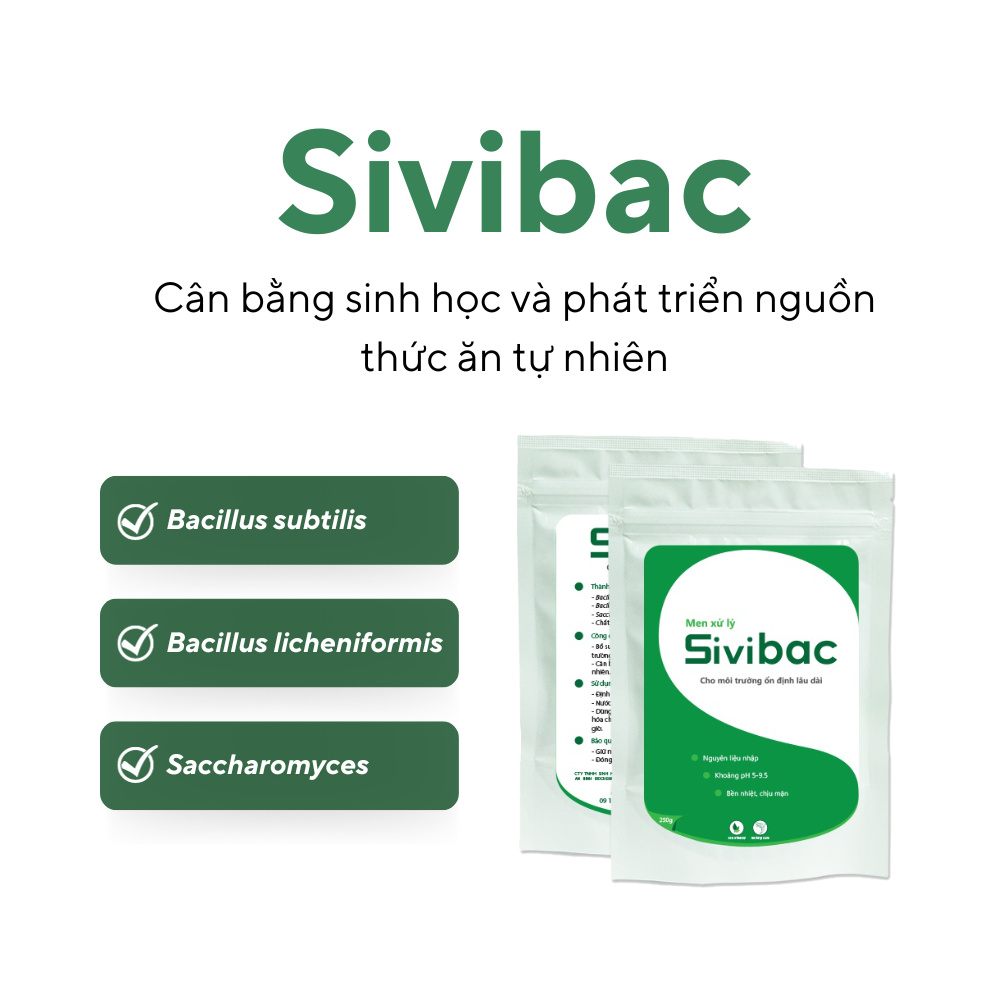 Sivibac - Ảnh 5