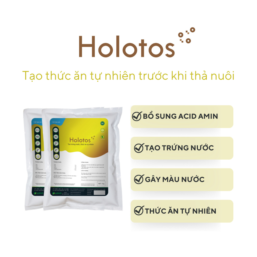 Holotos - Ảnh 5