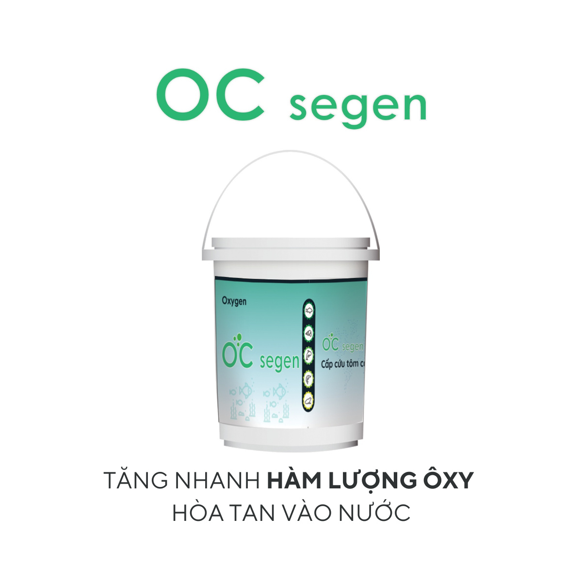 Oc segen - Ảnh 6