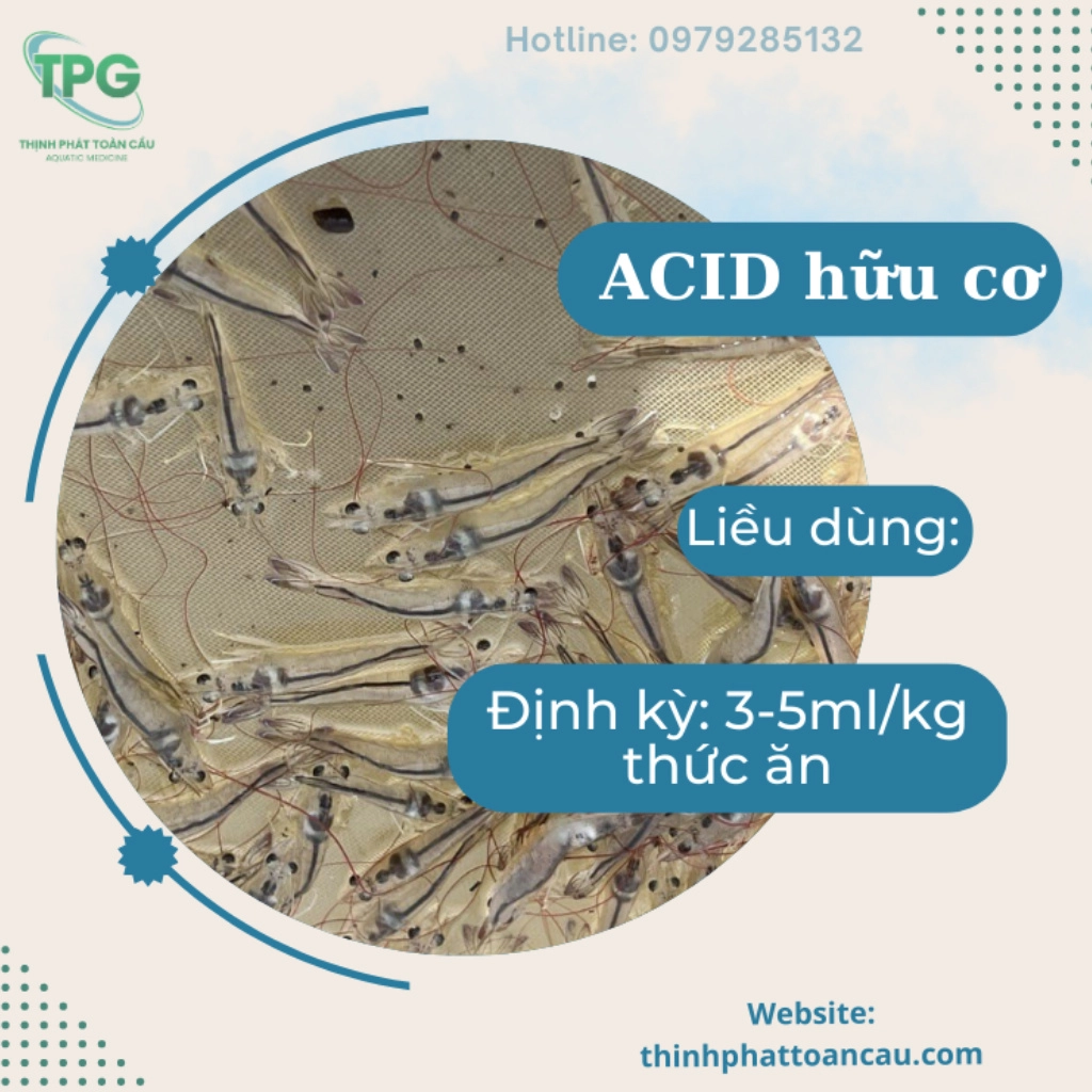 Acid hữu cơ - Ảnh 5