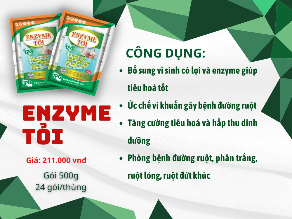 Enzyme tỏi - Ảnh 3