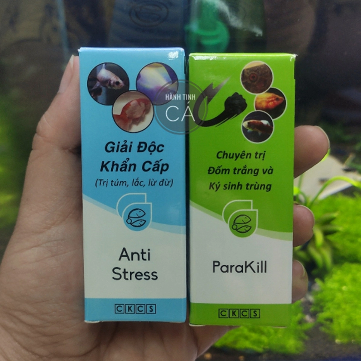 Dung dịch Anti Stress - Para Kill - Ảnh 2
