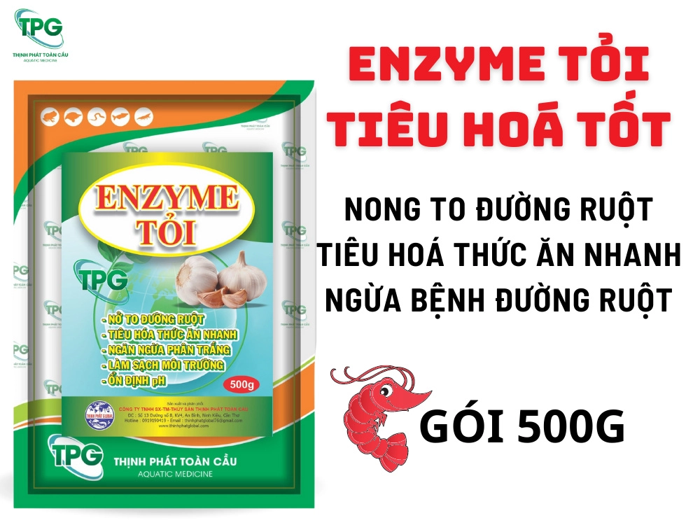 Enzyme tỏi - Ảnh 2