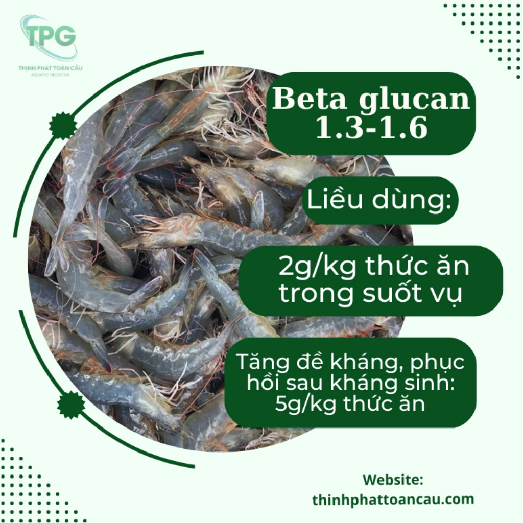 Beta Glucan 1.3-1.6 - Ảnh 6