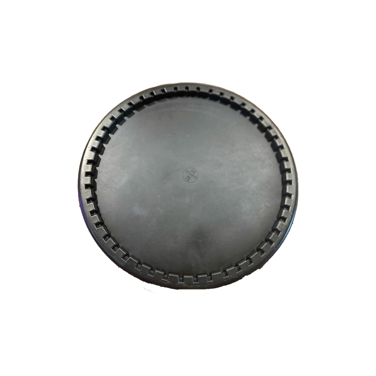 Đĩa sủi mỹ - Ảnh 2