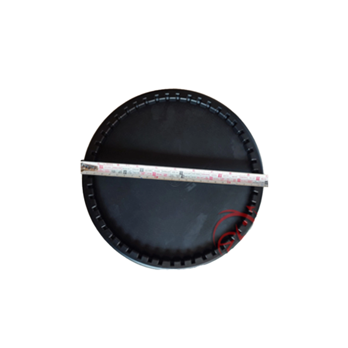 Đĩa sủi mỹ - Ảnh 3