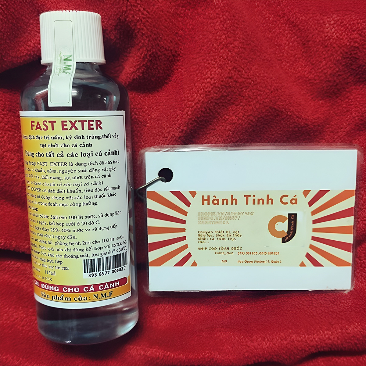Exter Xanh (Fast Exter) - Ảnh 3