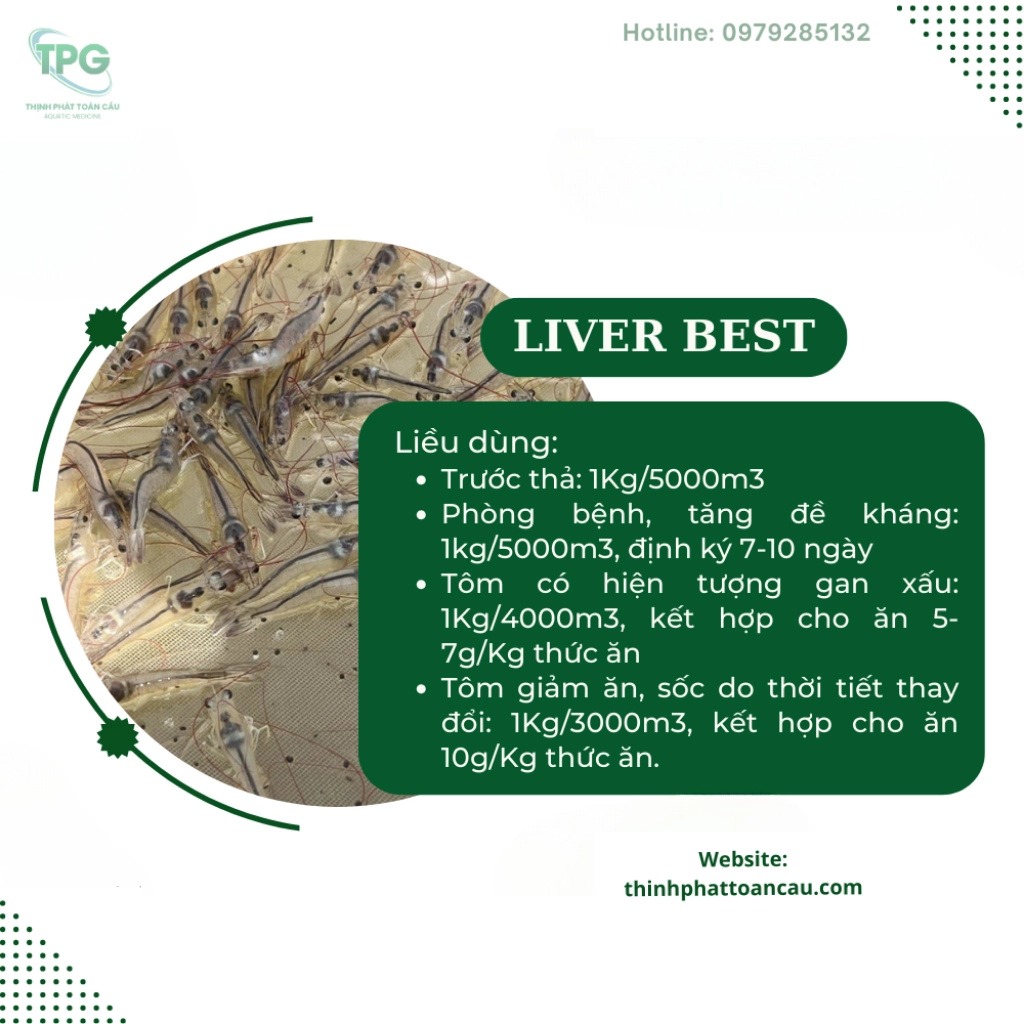 Liver best - Ảnh 4