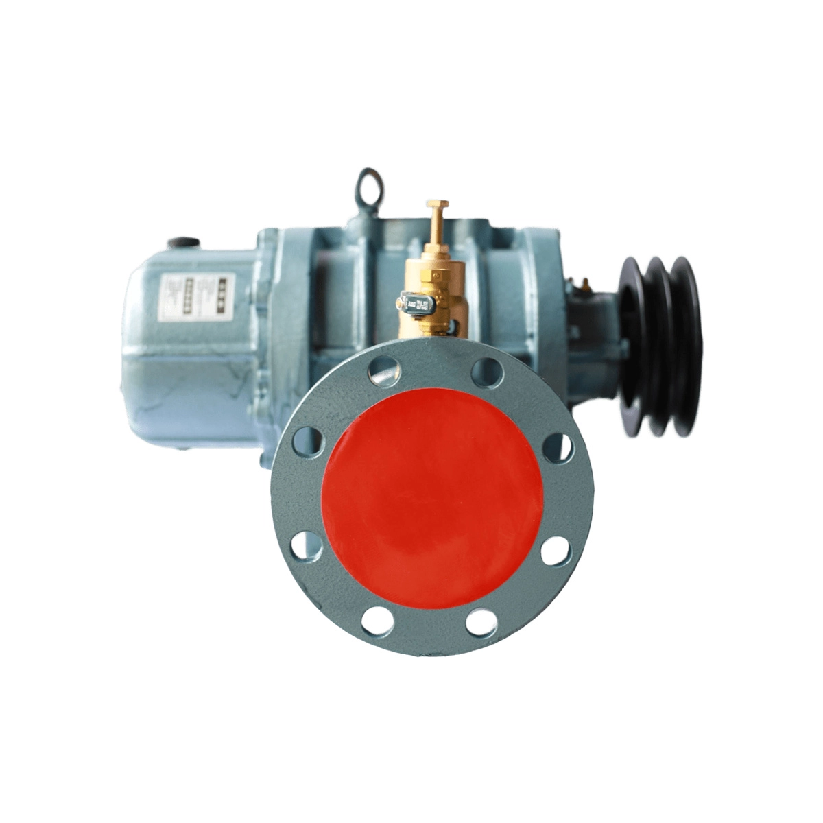Máy thổi khí Chita CT 80 – 4KW - Ảnh 3