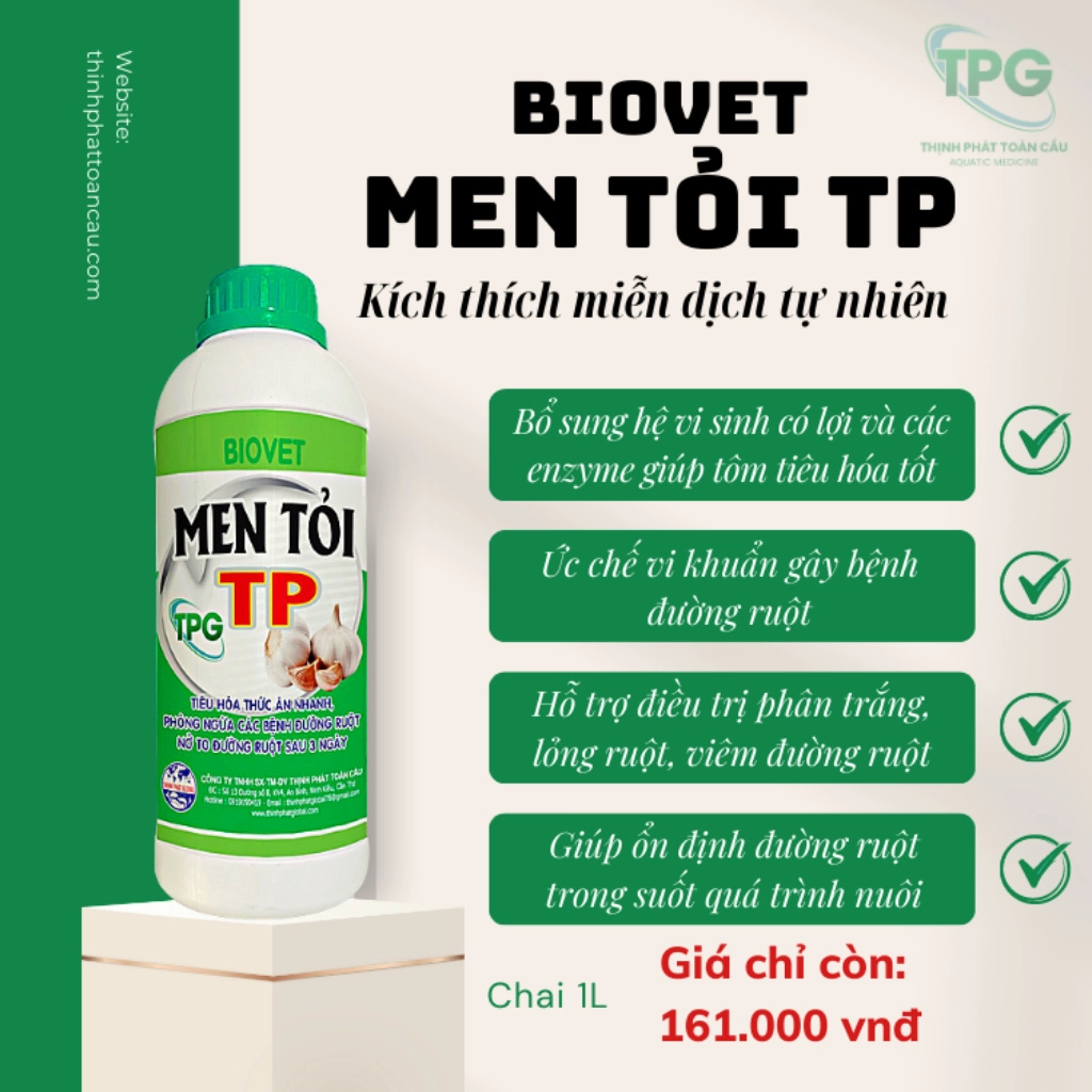 Men tỏi TP - Ảnh 2