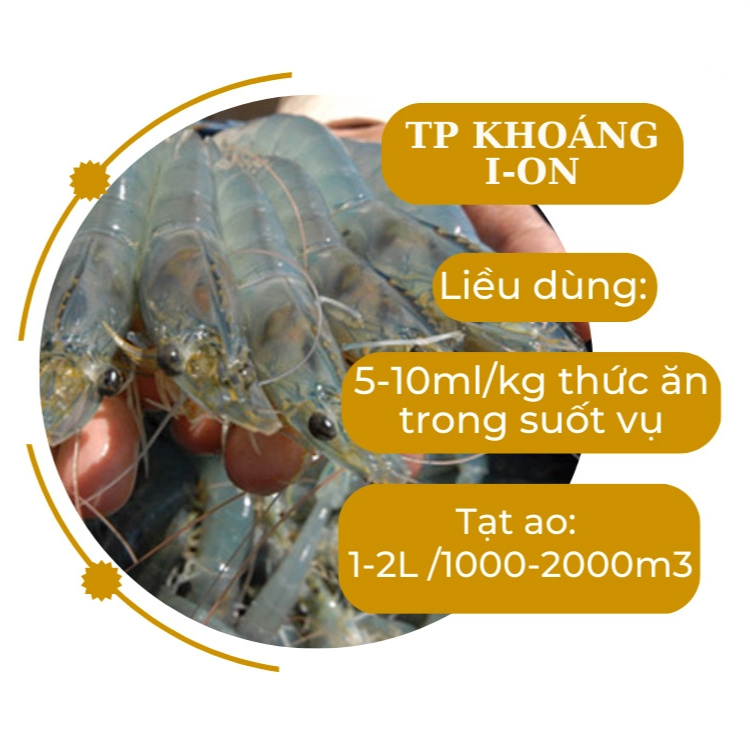 KHOÁNG SỮA - Ảnh 5