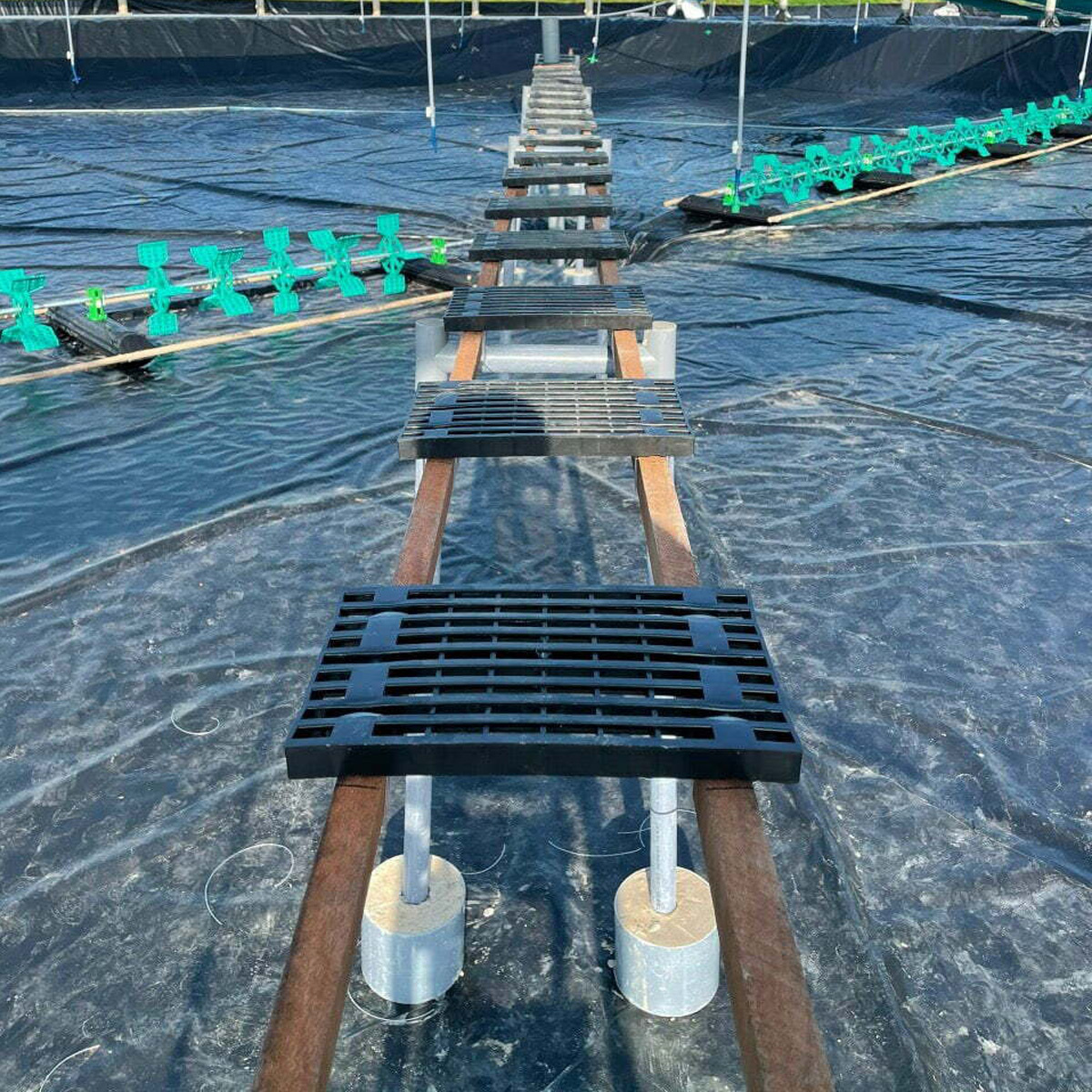 Tấm nhựa cầu nhá - Ảnh 3