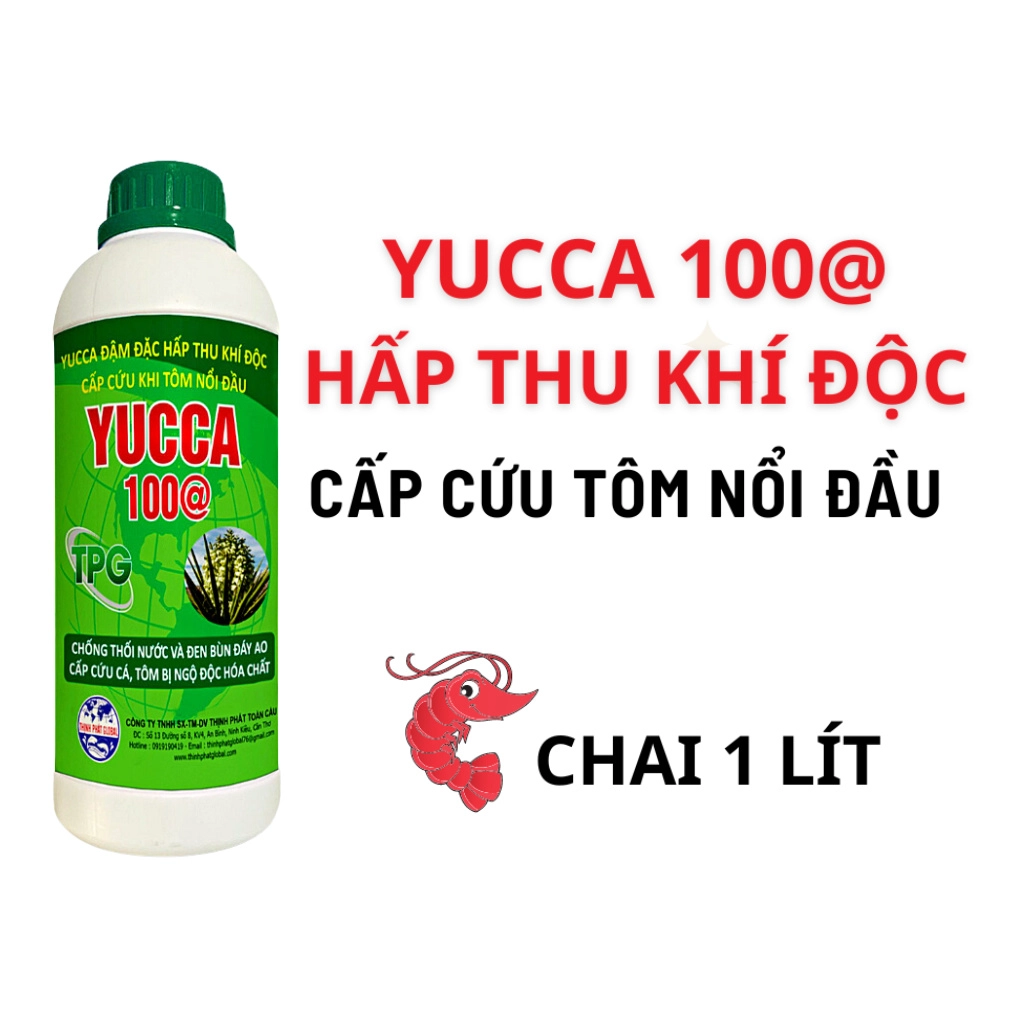 Yucca 100@ - Ảnh 3