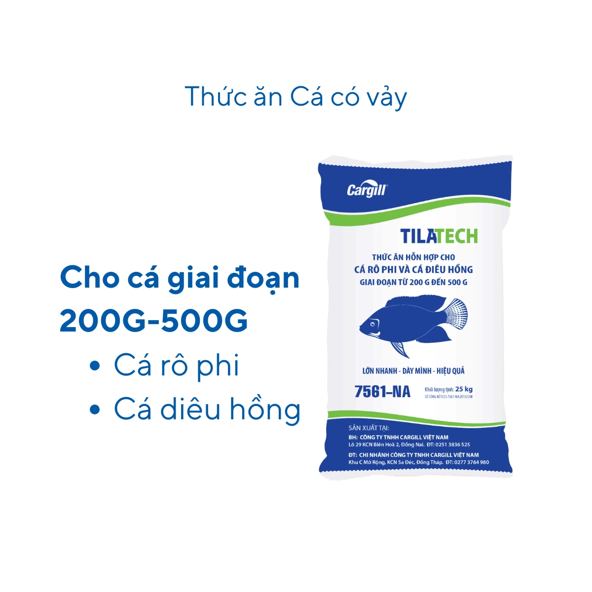 Thức ăn hỗn hợp cho cá có vảy 7561 - Ảnh 5
