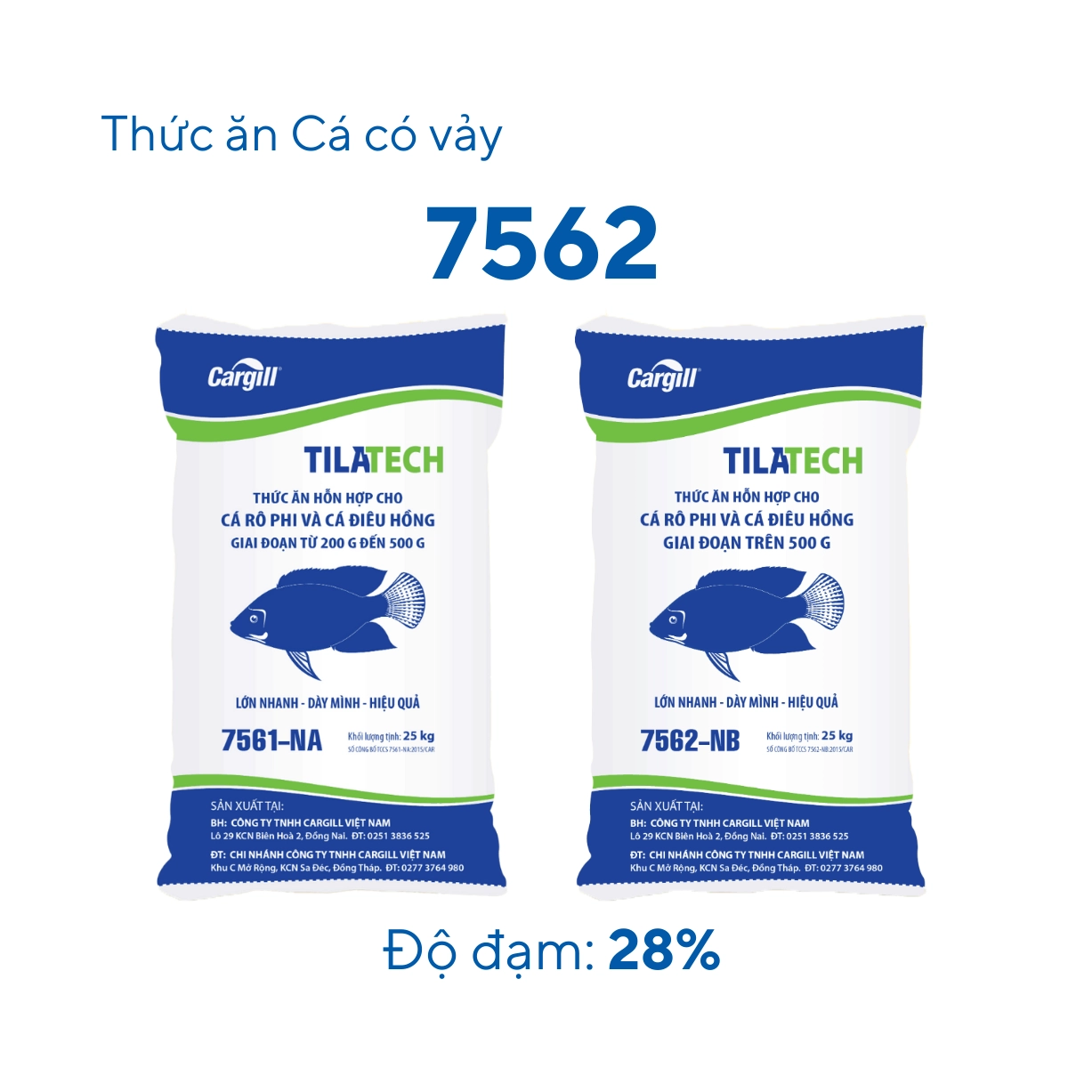 Thức ăn hỗn hợp cho cá có vảy 7562 - Ảnh 4