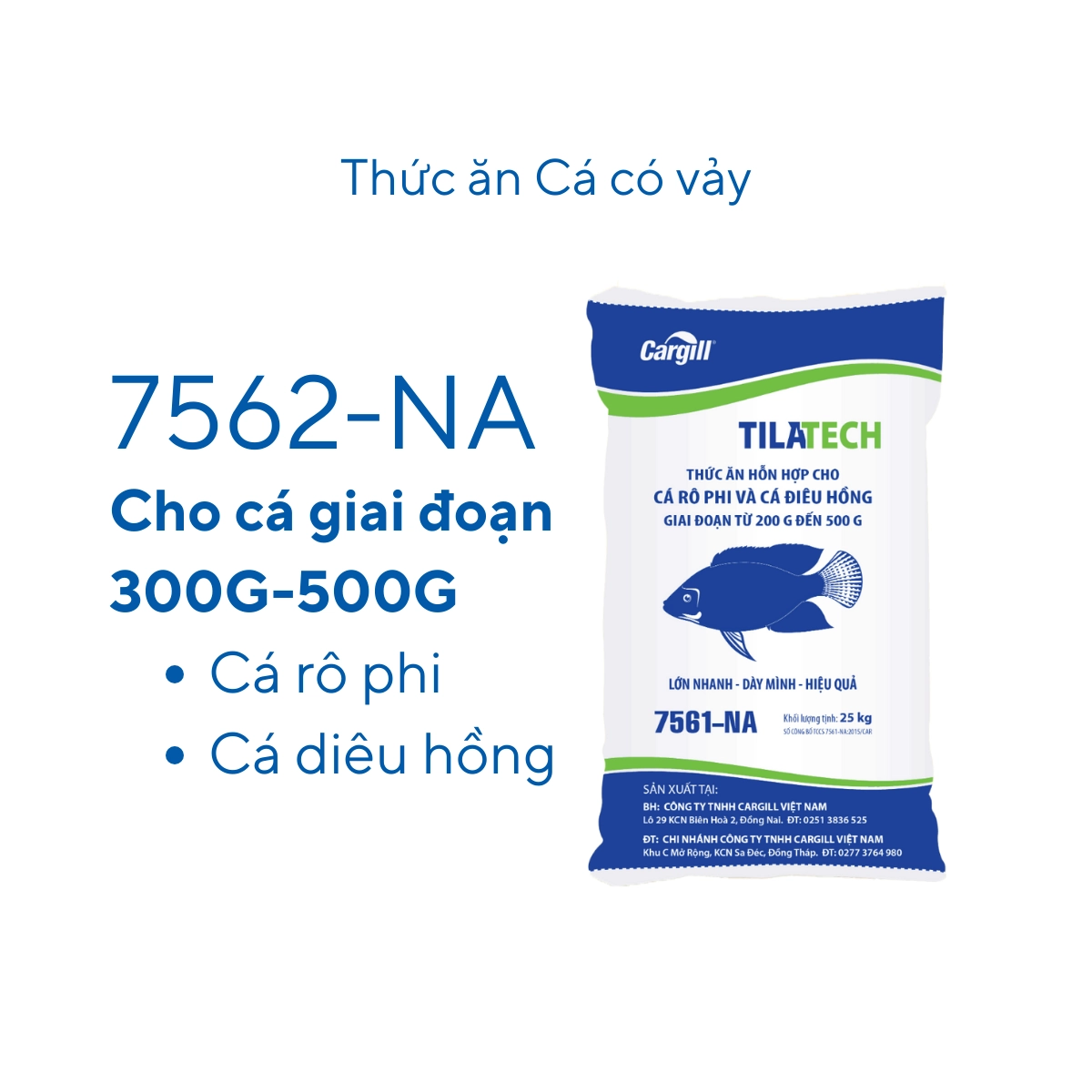 Thức ăn hỗn hợp cho cá có vảy 7562 - Ảnh 6